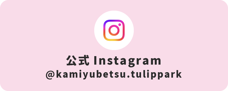 かみゆうべつチューリップ公園 公式Instagram