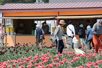 来訪者