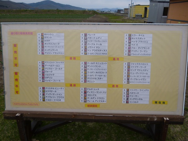 horitorikanban