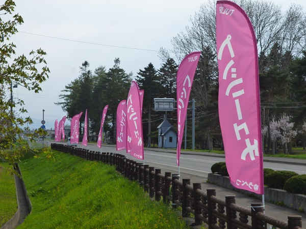 nobori
