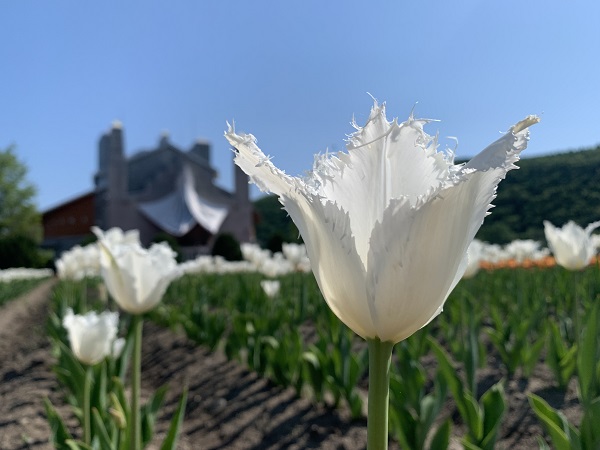 noordeinde