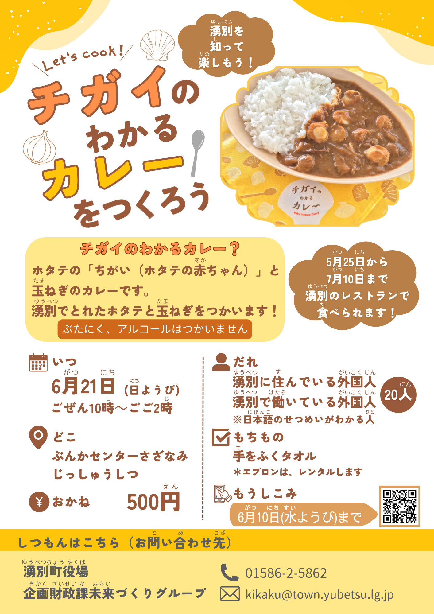 チガイのわかるカレーの外国人向け交流会のチラシ