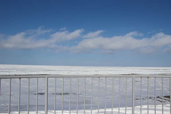 流氷の写真（三里浜）