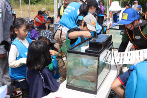 水生生物を観察する子どもたち