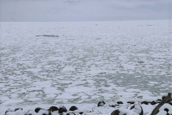 一面に広がる流氷（2月17日撮影）