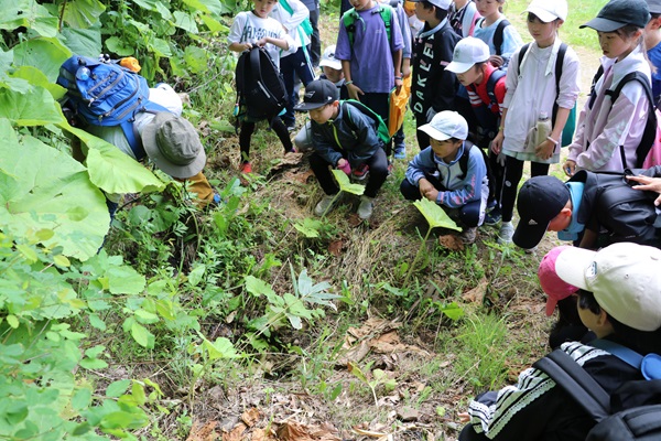 山道脇から染み出た小さな川の説明を聞く児童たち