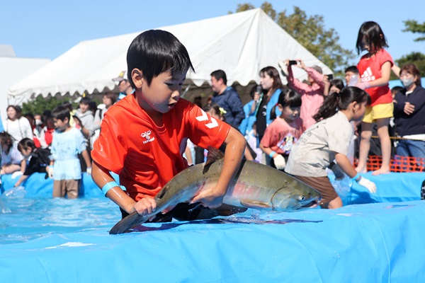 鮭のつかみどり大会