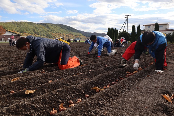 植えている様子1