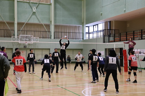 高く飛ぶセッター