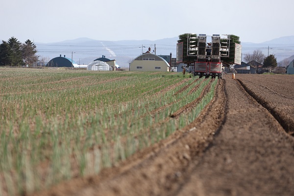 移植機で植える様子