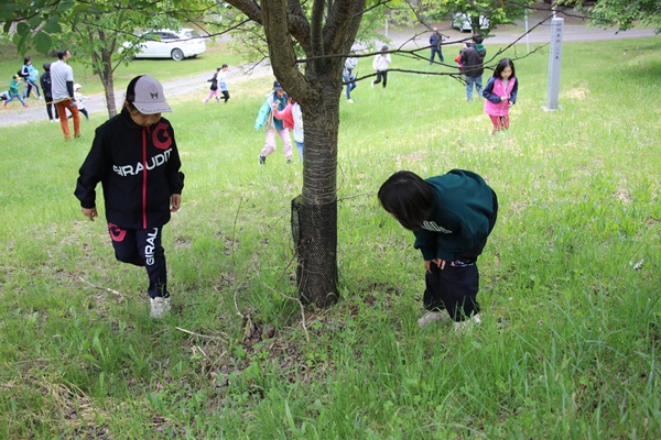 宝さがし大会の様子