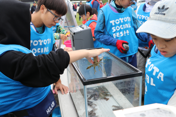 捕まえた虫や魚に触れる子どもたち