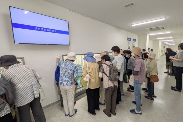 ホタテ加工場
