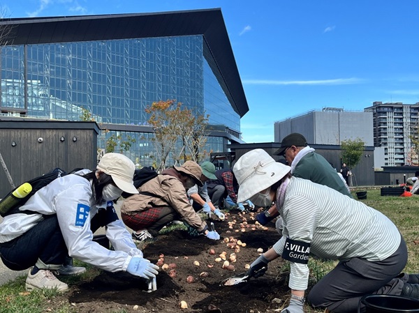 球根を植え付けている様子